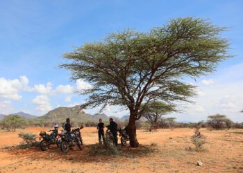 Motorreis Kilimanjaro in Kenia
