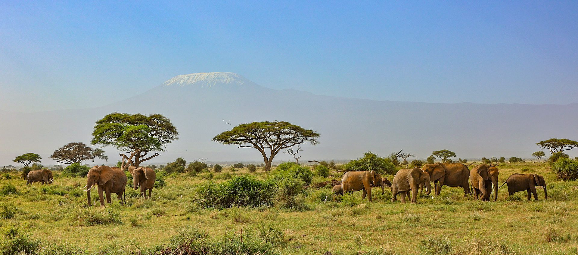 Motorreiskalender Kenia-Tanzania 2024 Kilimanjaro 3˚03 South, Avontuurlijke motorreizen in Afrika.