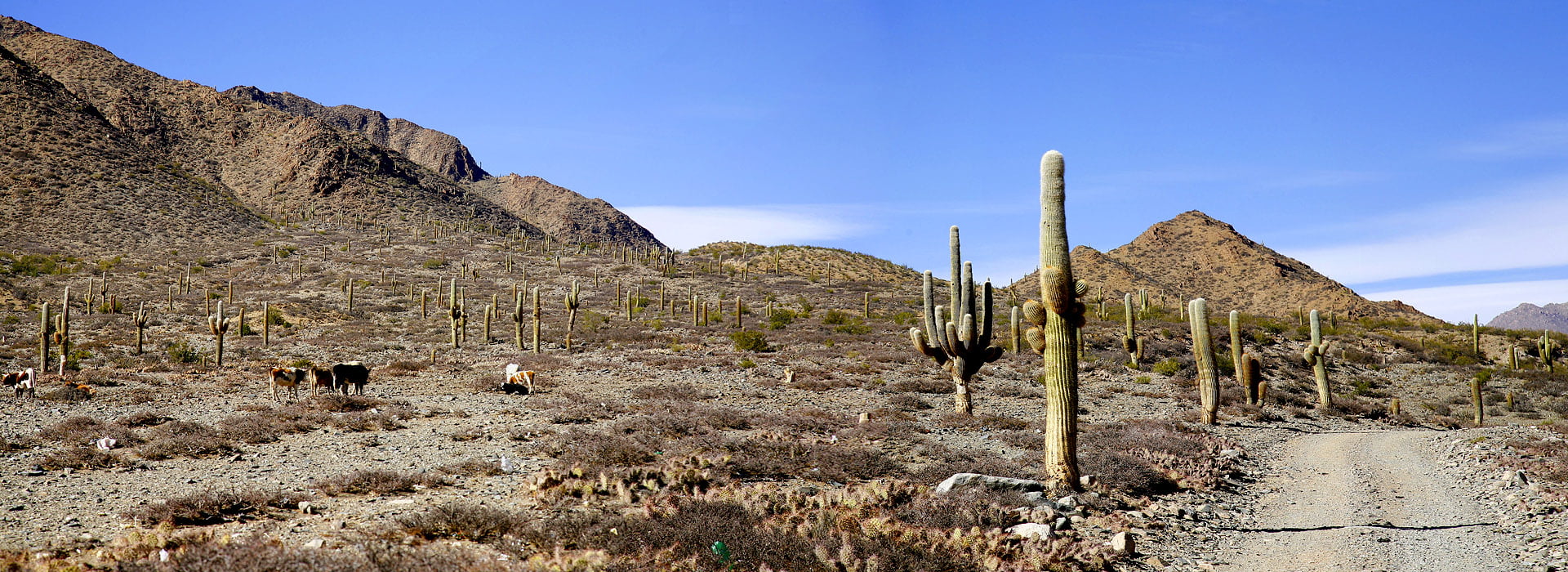 Motorreizen Zuid-Amerika door Chili, Argentine, Peru en Bolivia, expeditie Uturuncu van Travel 2 Explore motorreizen